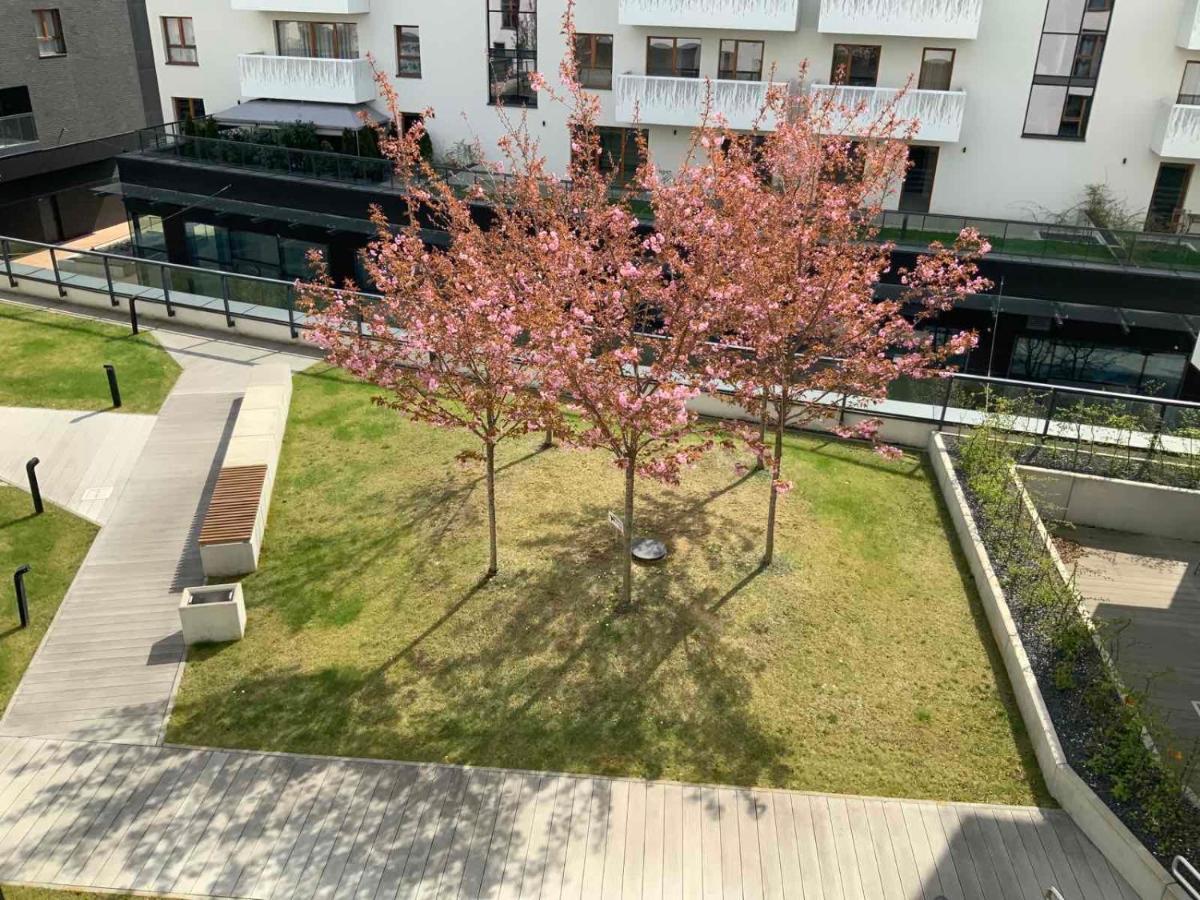 Apartment Z Kominkiem W Sercu Wroclawia Exterior photo